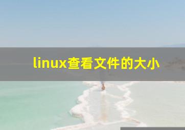 linux查看文件的大小