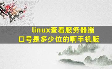 linux查看服务器端口号是多少位的啊手机版