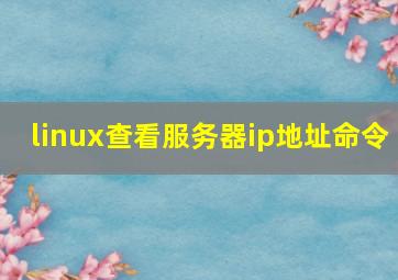 linux查看服务器ip地址命令