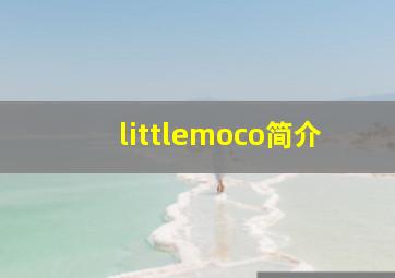 littlemoco简介