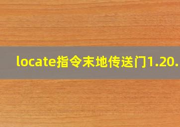 locate指令末地传送门1.20.1