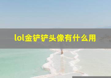 lol金铲铲头像有什么用