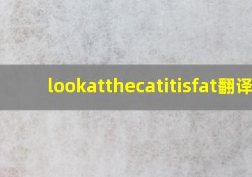 lookatthecatitisfat翻译