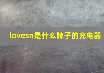 lovesn是什么牌子的充电器