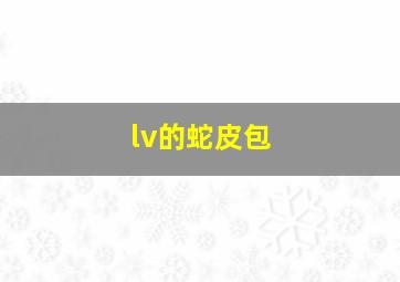 lv的蛇皮包