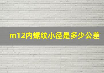 m12内螺纹小径是多少公差