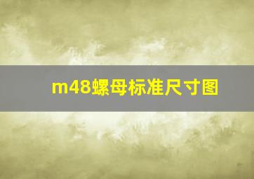 m48螺母标准尺寸图