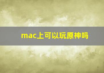 mac上可以玩原神吗