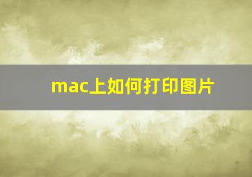 mac上如何打印图片