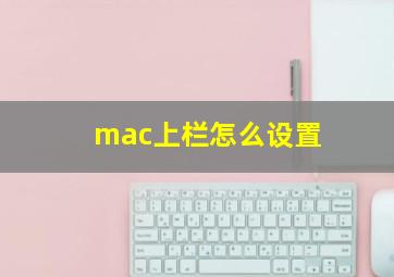 mac上栏怎么设置