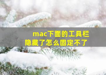 mac下面的工具栏隐藏了怎么固定不了