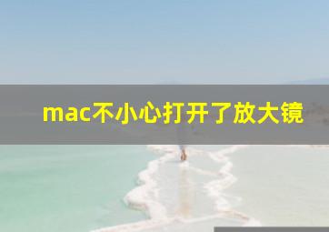 mac不小心打开了放大镜