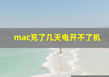 mac充了几天电开不了机