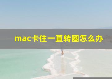 mac卡住一直转圈怎么办