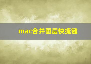 mac合并图层快捷键