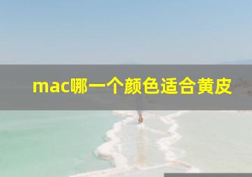 mac哪一个颜色适合黄皮