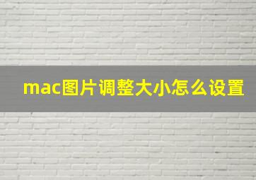 mac图片调整大小怎么设置