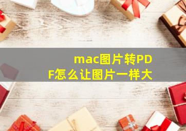 mac图片转PDF怎么让图片一样大