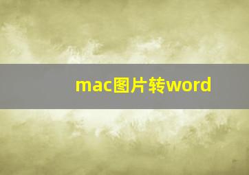 mac图片转word