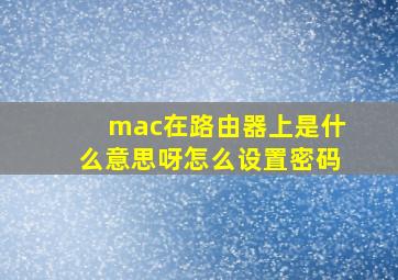 mac在路由器上是什么意思呀怎么设置密码