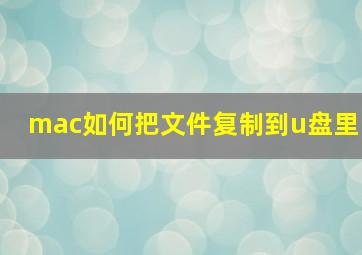 mac如何把文件复制到u盘里