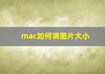 mac如何调图片大小