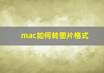 mac如何转图片格式