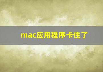 mac应用程序卡住了