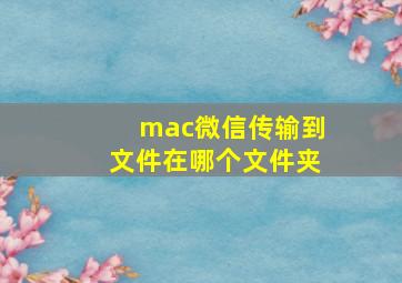 mac微信传输到文件在哪个文件夹