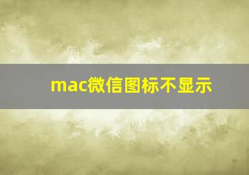 mac微信图标不显示