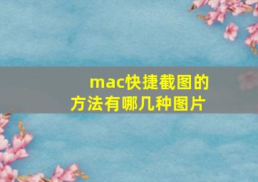 mac快捷截图的方法有哪几种图片