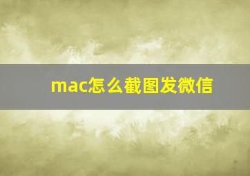 mac怎么截图发微信