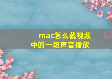 mac怎么截视频中的一段声音播放