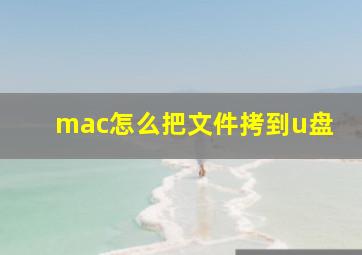 mac怎么把文件拷到u盘