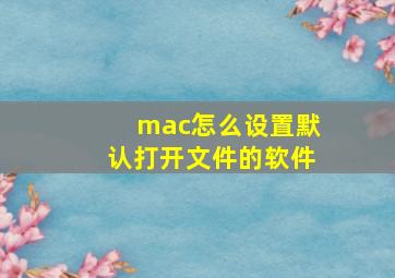 mac怎么设置默认打开文件的软件