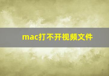 mac打不开视频文件