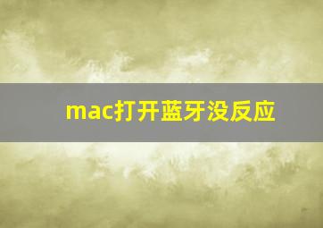 mac打开蓝牙没反应