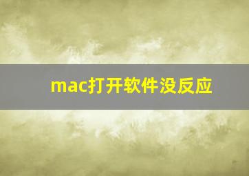 mac打开软件没反应