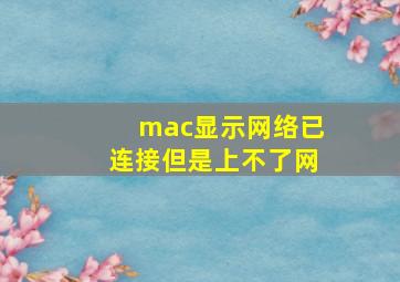 mac显示网络已连接但是上不了网