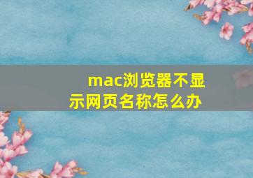 mac浏览器不显示网页名称怎么办