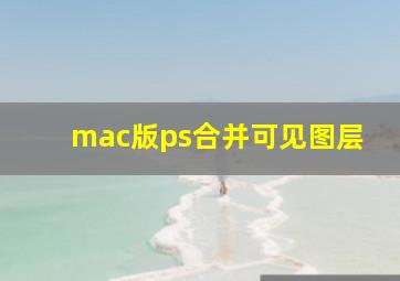 mac版ps合并可见图层