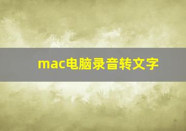 mac电脑录音转文字