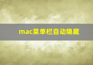 mac菜单栏自动隐藏