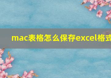 mac表格怎么保存excel格式