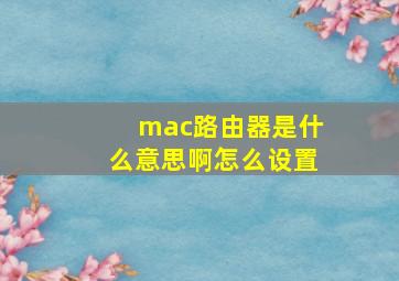 mac路由器是什么意思啊怎么设置