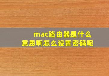 mac路由器是什么意思啊怎么设置密码呢