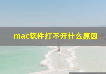 mac软件打不开什么原因