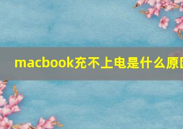 macbook充不上电是什么原因