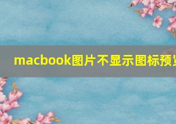 macbook图片不显示图标预览