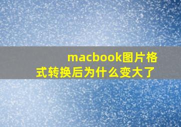 macbook图片格式转换后为什么变大了